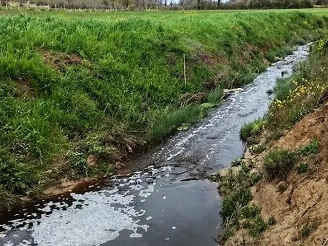 Sinop&rsquo;ta &ccedil;evreyi kirleten tesise 1.6 milyon TL ceza