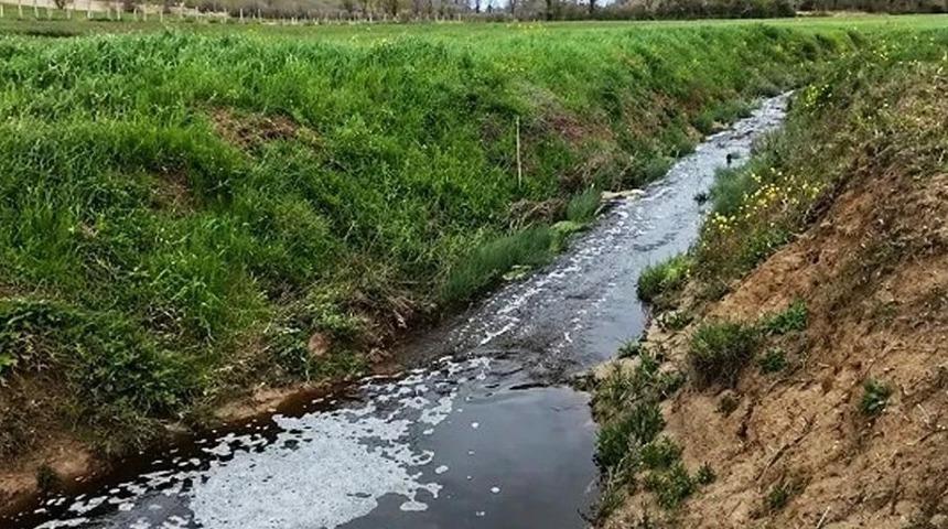 Sinop&rsquo;ta &ccedil;evreyi kirleten tesise 1.6 milyon TL ceza