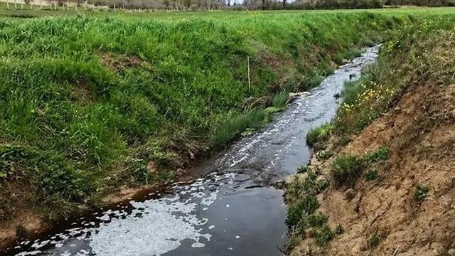 Sinop’ta çevreyi kirleten tesise 1.6 milyon TL ceza
