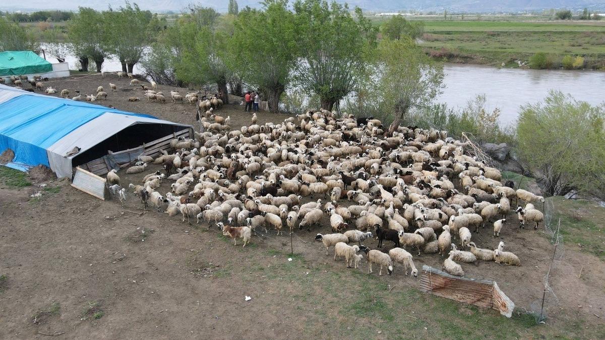 150 bin TL maaş konuşuluyordu! Asgari &uuml;cretle işe başladılar 1