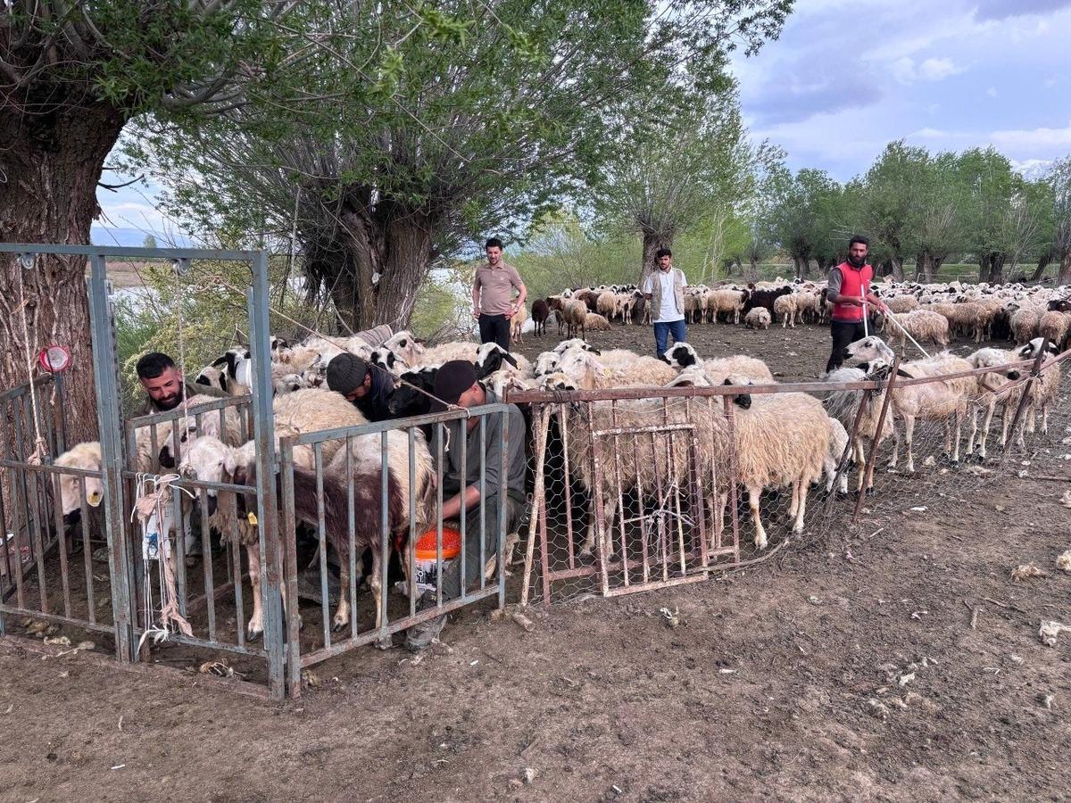 150 bin TL maaş konuşuluyordu! Asgari &uuml;cretle işe başladılar 2