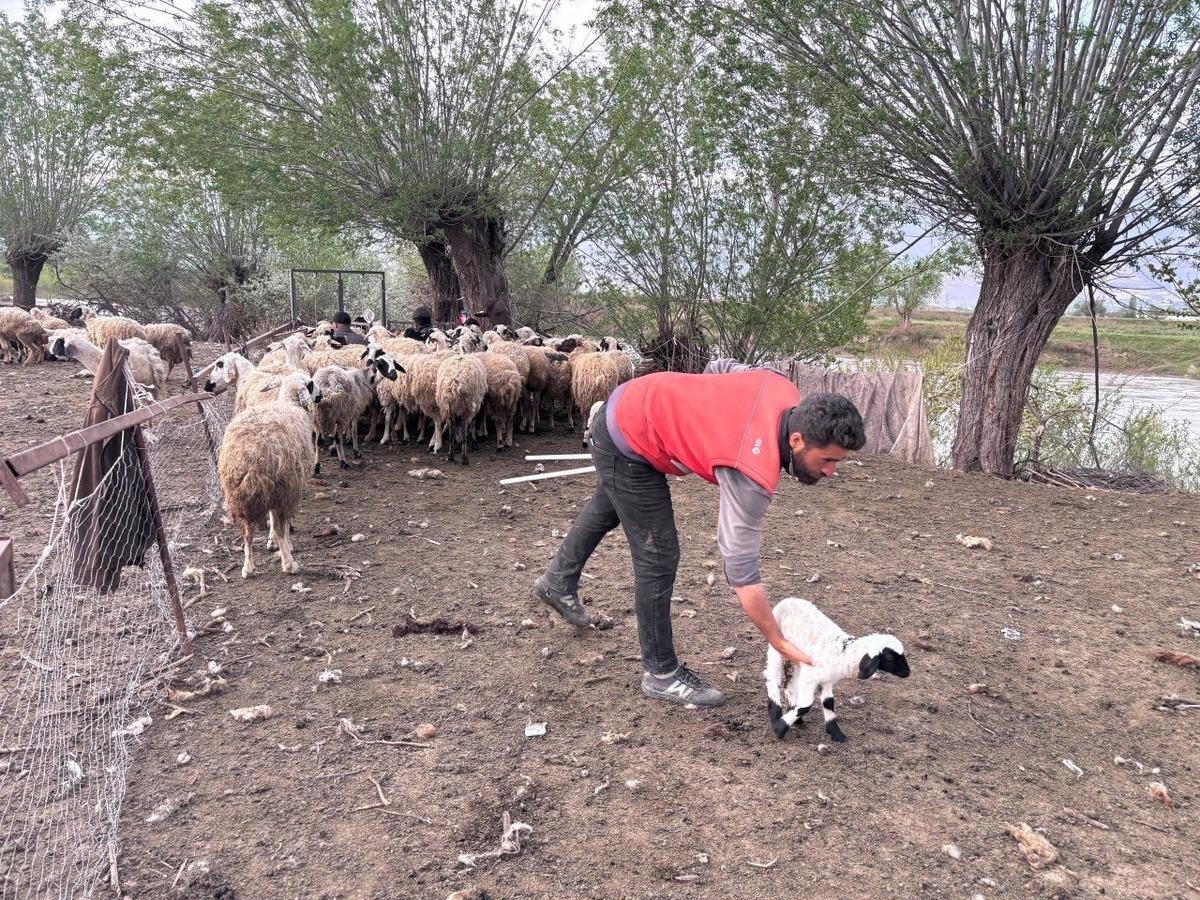 150 bin TL maaş konuşuluyordu! Asgari &uuml;cretle işe başladılar 3