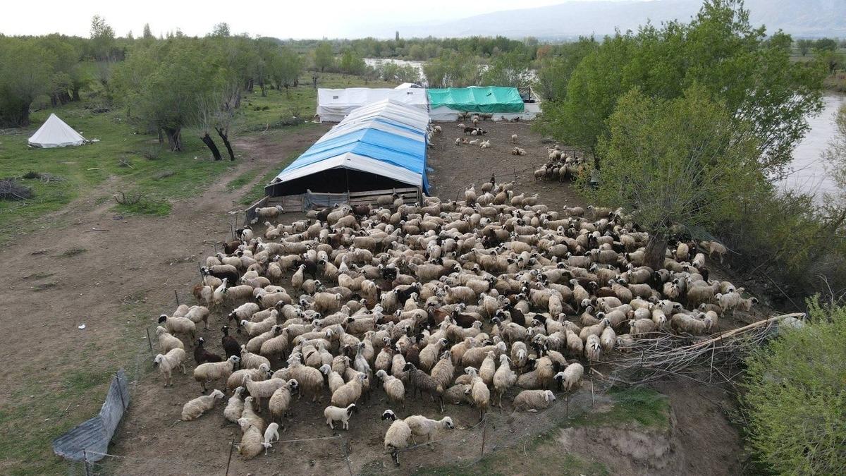 150 bin TL maaş konuşuluyordu! Asgari &uuml;cretle işe başladılar 4