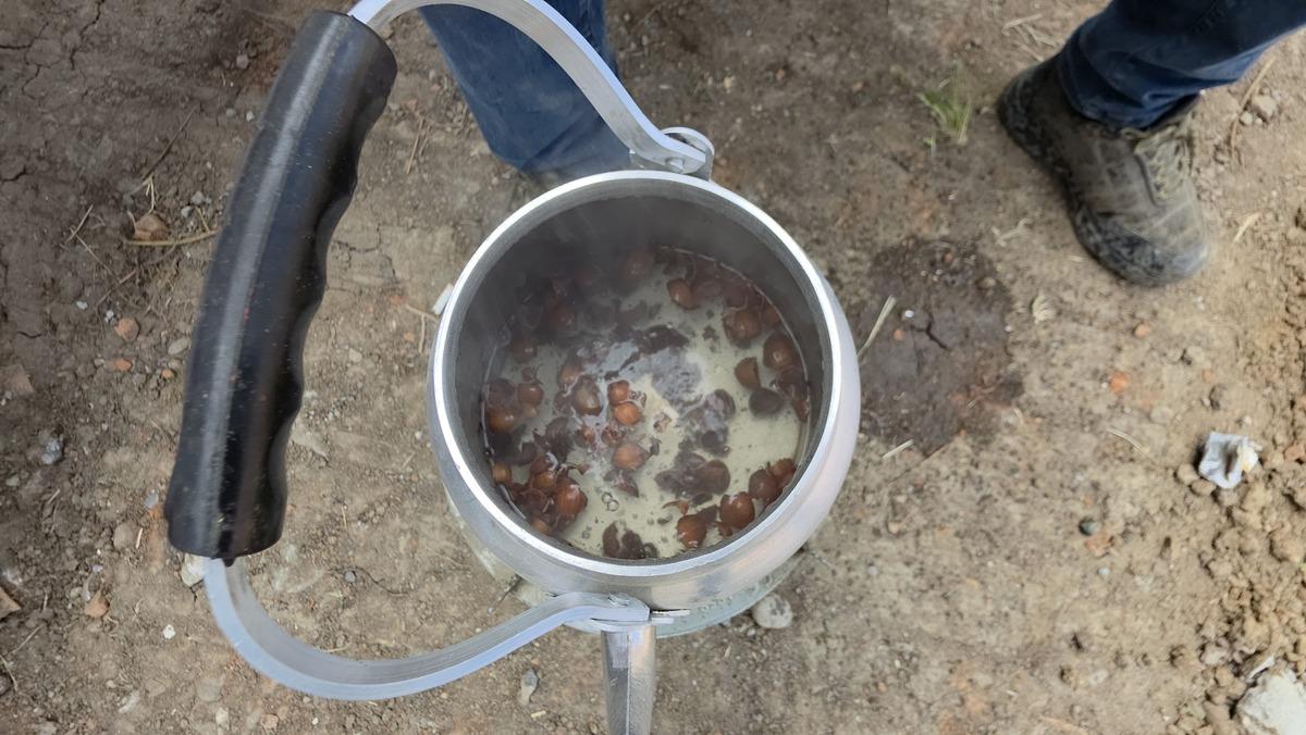 İşçiler molada keşfetti: Kabuk çayı şifa dağıtıyor! 2