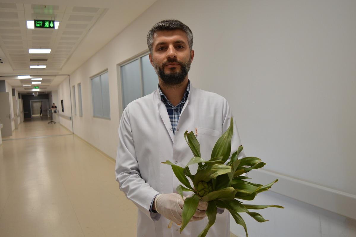 ‘İyi gelir’ diye toplayıp yedi, iç organları zarar gördü! Şifa değil zehir oldu 3