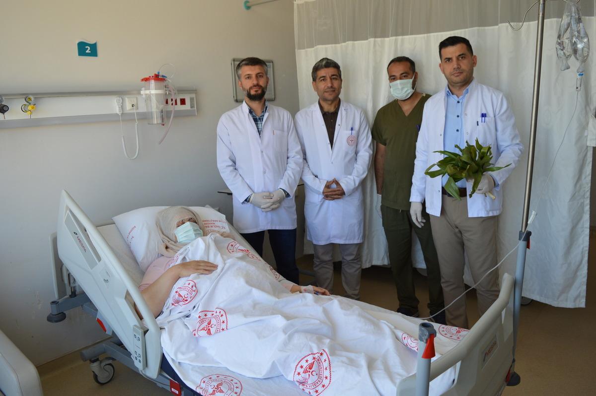 ‘İyi gelir’ diye toplayıp yedi, iç organları zarar gördü! Şifa değil zehir oldu 1