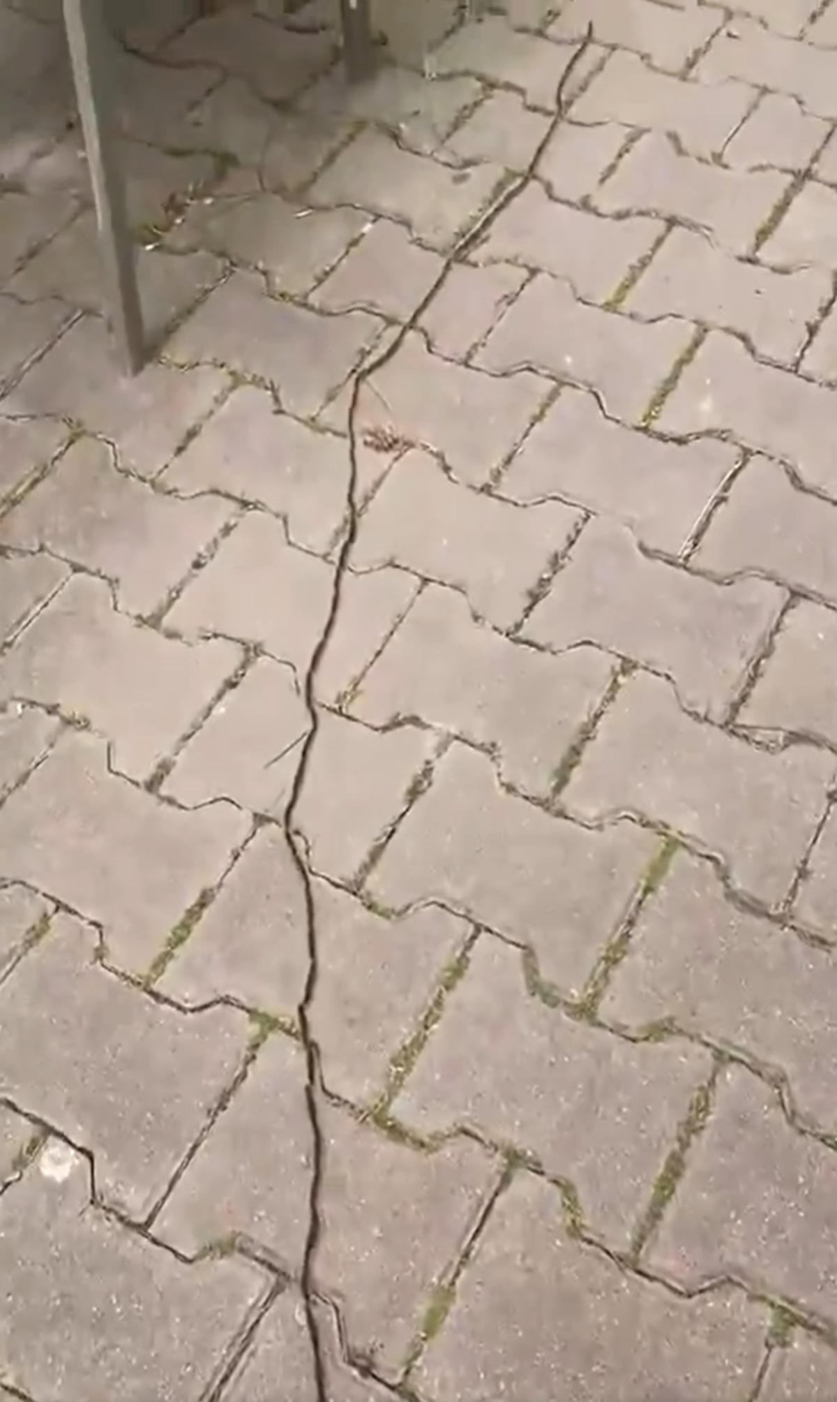 İstanbul da endişelendiren görüntü: Dokunması bile tehlikeli! 1