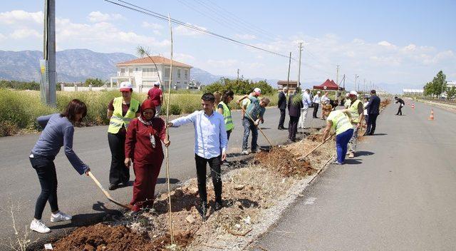 Döşemealtı’nda bin 300 fıstık çamı fidanı toprakla buluştu