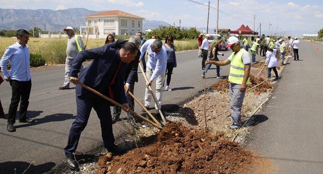 Döşemealtı’nda bin 300 fıstık çamı fidanı toprakla buluştu