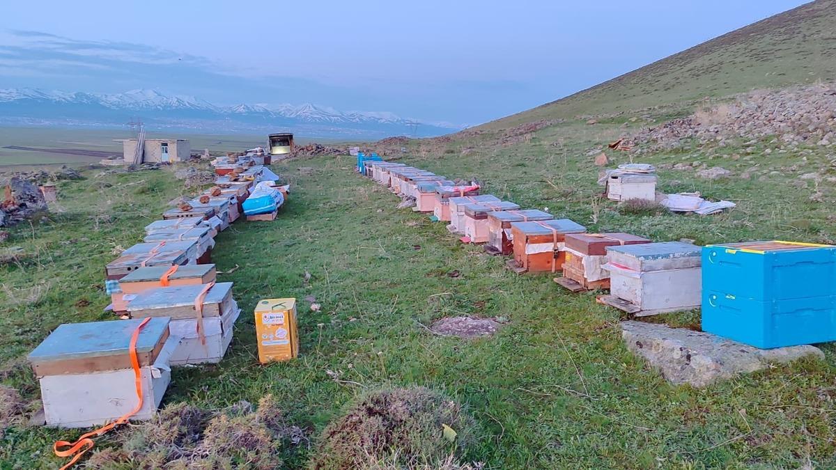 G&ouml;&ccedil; etmeye başladılar: 32 yıldır yapıyor  M&uuml;şteri sıkıntısı yok  3