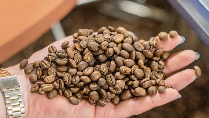 Men&uuml;de a&ccedil;ık kavrum (light roast) bir kahve var. Bu &ccedil;ekirdekten nasıl bir tat beklersin?