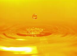  Suyumuzdan 1,5 ton altın akıyor