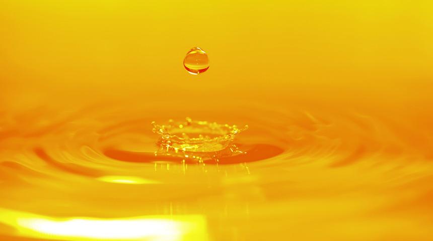  Suyumuzdan 1,5 ton altın akıyor