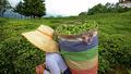 2026 ya� �ay al�m bedeli a��kland�