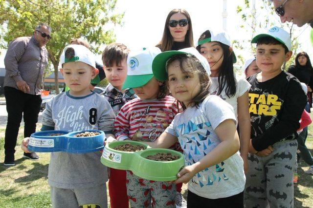 Odunpazarı’ndan sokaktaki dostlara yardım eli