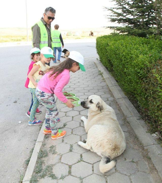 Odunpazarı’ndan sokaktaki dostlara yardım eli