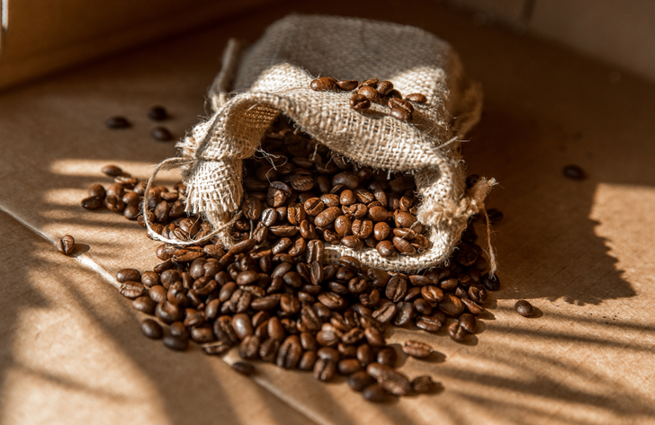 S&ouml;yle bakalım, Arabica nedir?