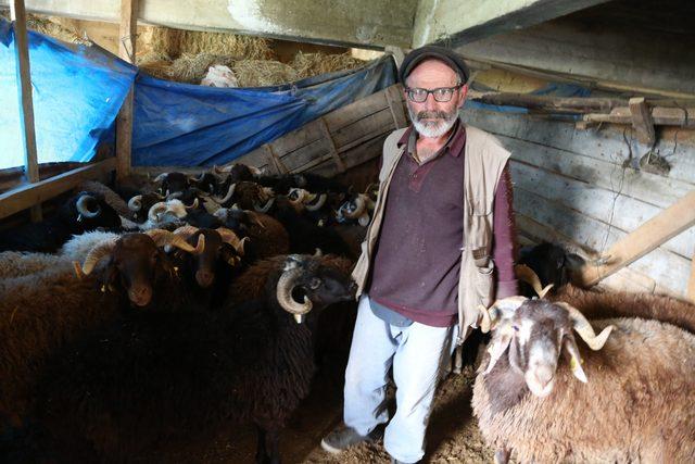 Artvin’de çobanın ‘Vali’ şaşkınlığı