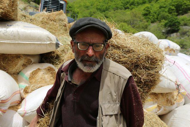 Artvin’de çobanın ‘Vali’ şaşkınlığı