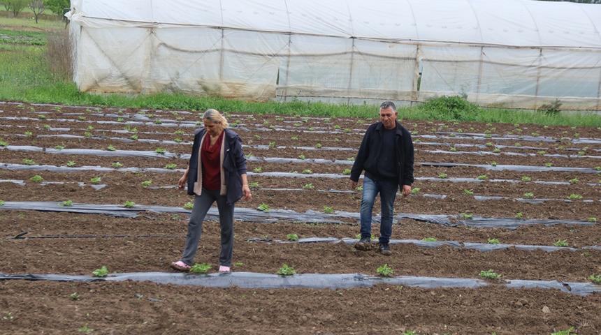 'Ticaretle uğraşırken o işe y&ouml;neldi: Hem kazan&ccedil; hem istihdam oldu