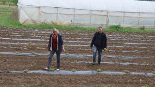 'Ticaretle uğraşırken o işe yöneldi: Hem kazanç hem istihdam oldu