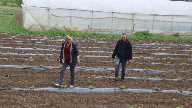 'Ticaretle uğraşırken o işe yöneldi: Hem kazanç hem istihdam oldu
