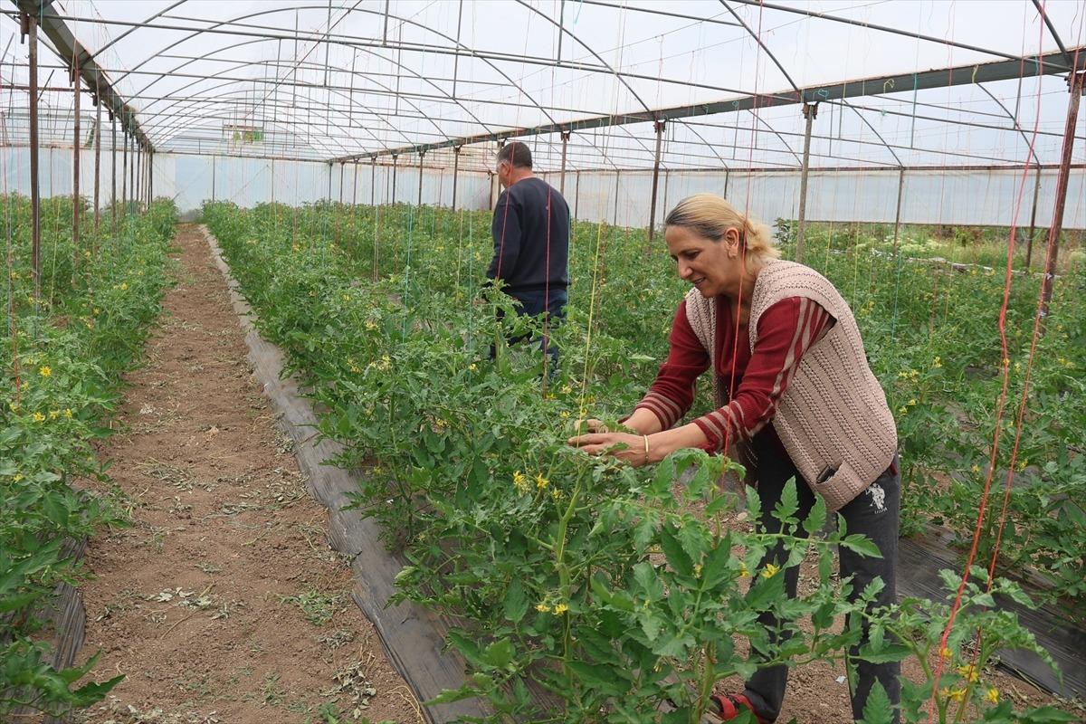  Ticaretle uğraşırken o işe y&ouml;neldi: Hem kazan&ccedil; hem istihdam oldu 2
