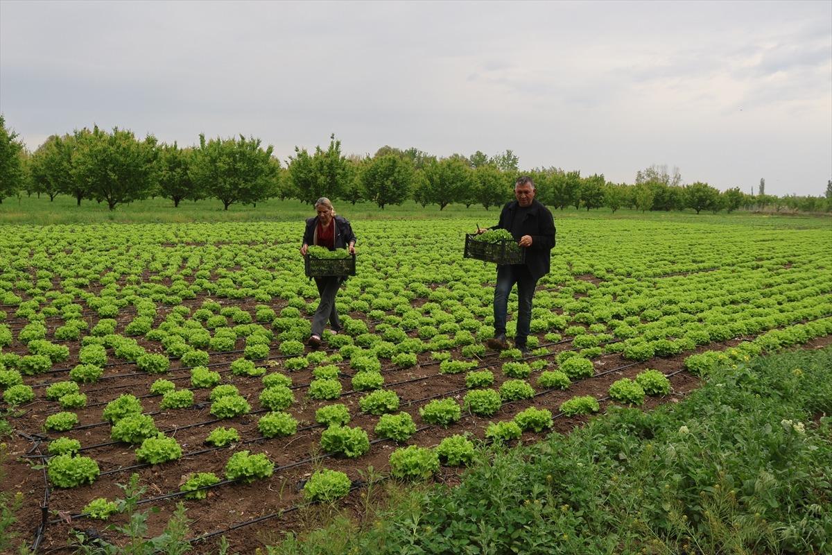  Ticaretle uğraşırken o işe y&ouml;neldi: Hem kazan&ccedil; hem istihdam oldu 5