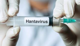 Hantavir&uuml;s iddiası ortalığı karıştırdı! 