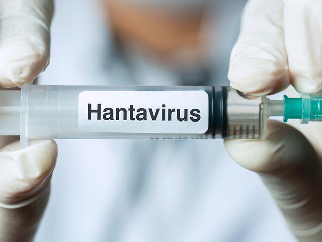 Hantavir&uuml;s iddiası ortalığı karıştırdı! 