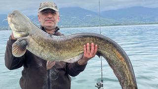 Sapanca G&ouml;l&uuml;'nden &ccedil;ıktı: Tam 122 santim boyunda! 