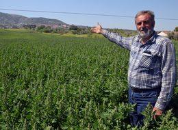 Zahmeti az getirisi yüksek 