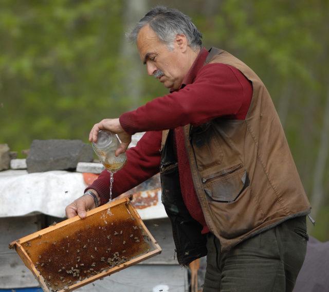 Karadeniz'de eğitim verilen 4 bin çiftçi, doğal bal üretimine başlıyor