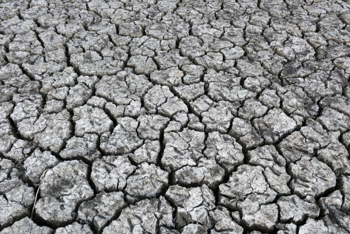 Süper El Nino alarmı! Kavurucu sıcaklar ve yıkıcı seller için tarih verildi 1