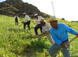 Fatura mağduru çiftçiler için son başvuru!