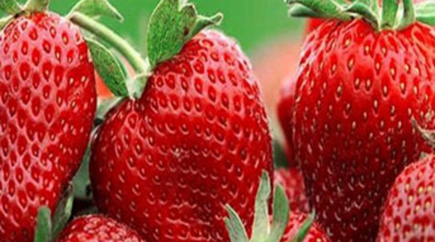 Talep &ccedil;ok ancak &uuml;retim yok!