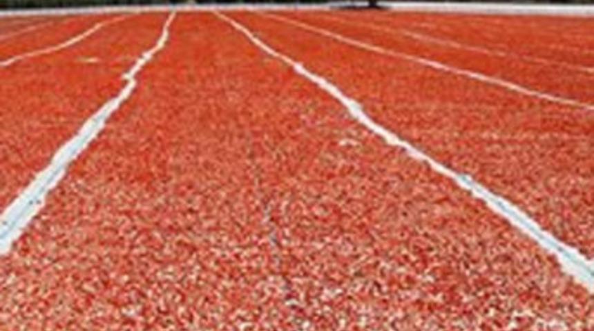 Domatesi kurutarak d&ouml;vize &ccedil;eviriyorlar