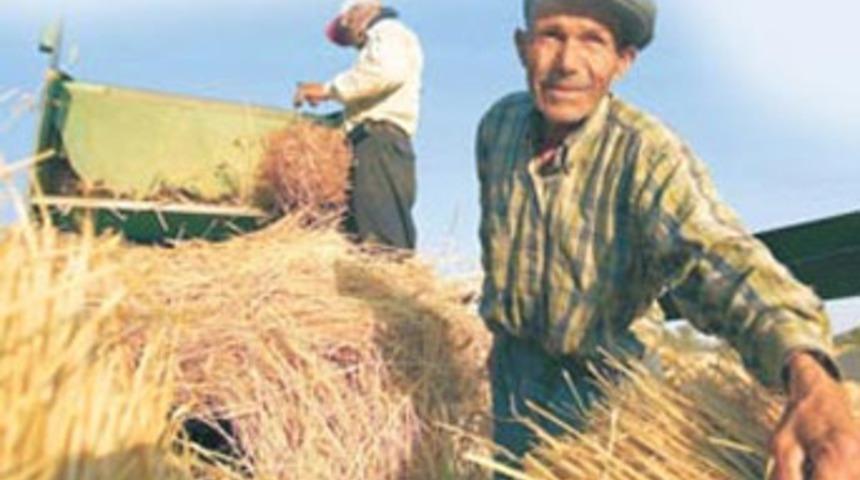 İş-aş deposu
