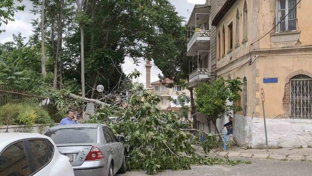 R&uuml;zgarda devrilen ağa&ccedil; park halindeki ara&ccedil;lara zarar verdi 2