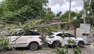 R&uuml;zgarda devrilen ağa&ccedil; park halindeki ara&ccedil;lara zarar verdi