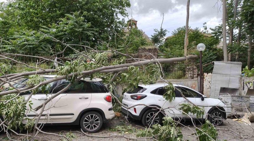 R&uuml;zgarda devrilen ağa&ccedil; park halindeki ara&ccedil;lara zarar verdi
