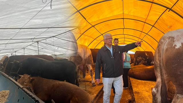 Kurbanlık alırken nelere dikkat edilmelidir? Uzman isim a&ccedil;ıkladı
