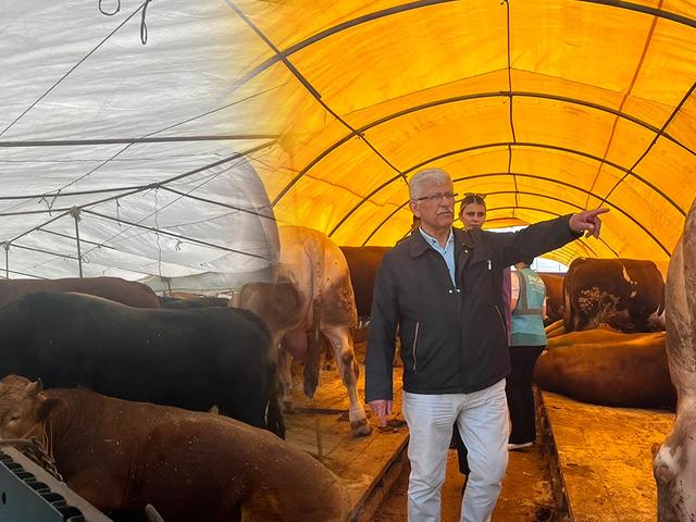 Kurbanlık alırken nelere dikkat edilmelidir? Uzman isim a&ccedil;ıkladı