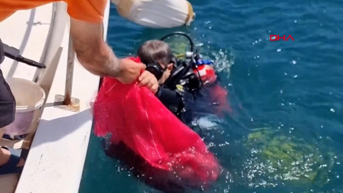 Bodrum da denizden 2 ton çöp çıktı! Adeta fışkırıyor 4