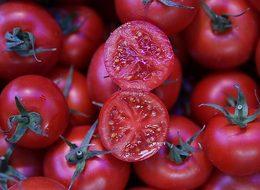 Domates tarlada 3, sofrada 9 lira! İşte nedeni