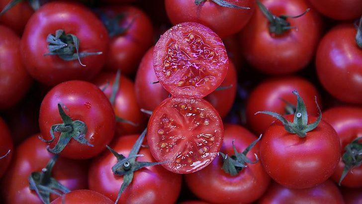 Rusya'ya domates ihracatı 5'e katlandı