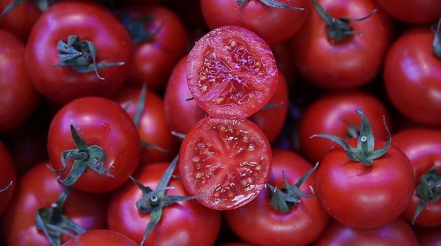 Domatesin kilosu 7 lira'dan 4 liraya düştü   