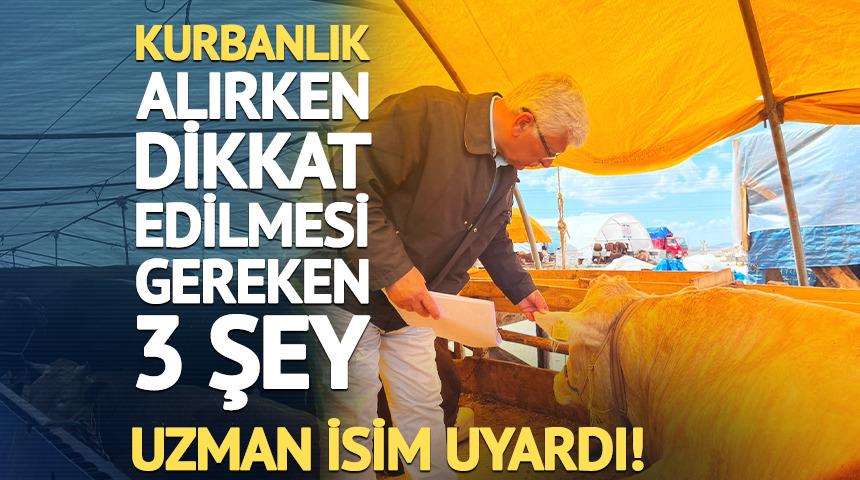 Kurbanlık alırken nelere dikkat edilmelidir? Uzman isim a&ccedil;ıkladı