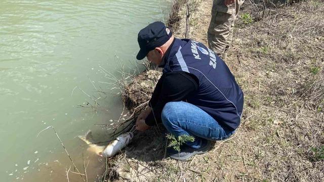 Karasu Nehri’nde kaçak avcılığa karşı denetim yapıldı