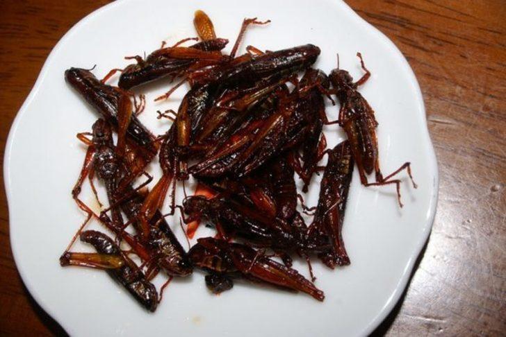 Bunun ne olduğunu tahmin bile edemeyeceksiniz G4